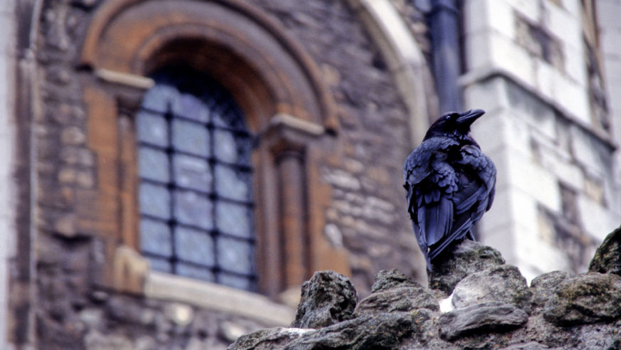 tourist traps tower of london