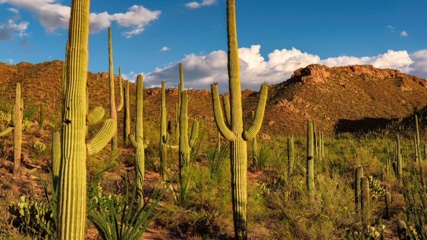 Tucson
