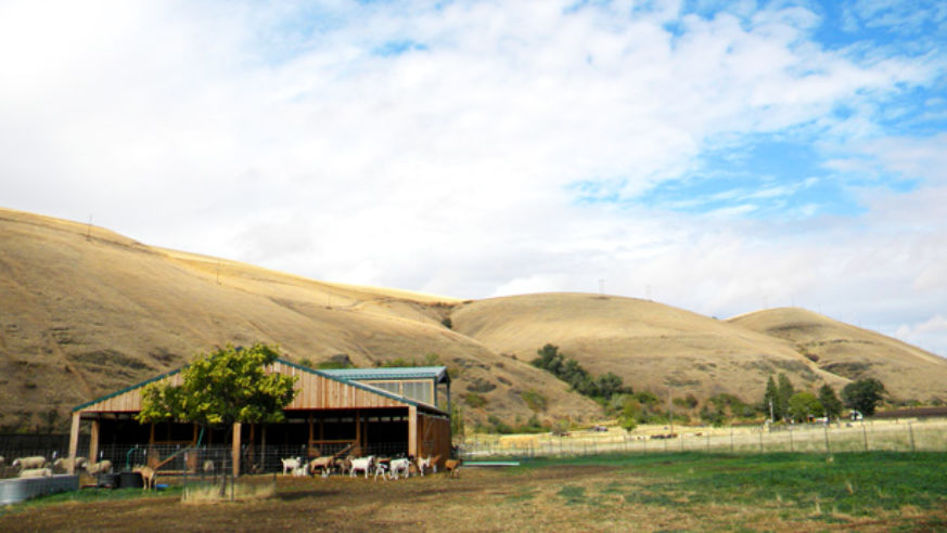 The Monteillet Fromagerie ranch, in Dayton, Wash.