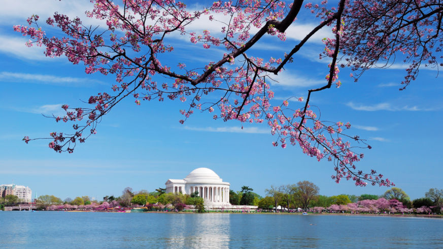 20 Fabulously Free Things To Do In D C Budget Travel