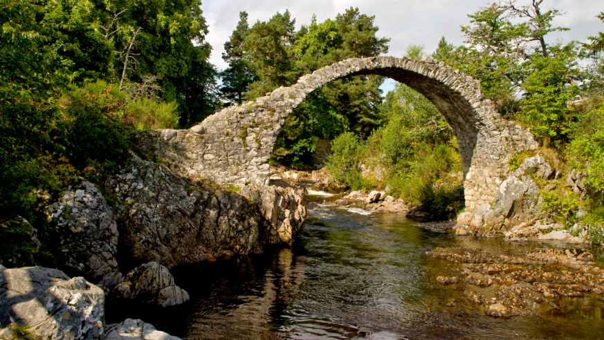 WildEurope_Scotland_CairngormsNationalPark