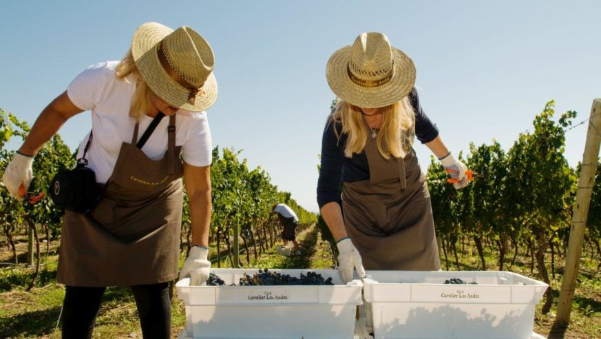 wine country mendoza argentina