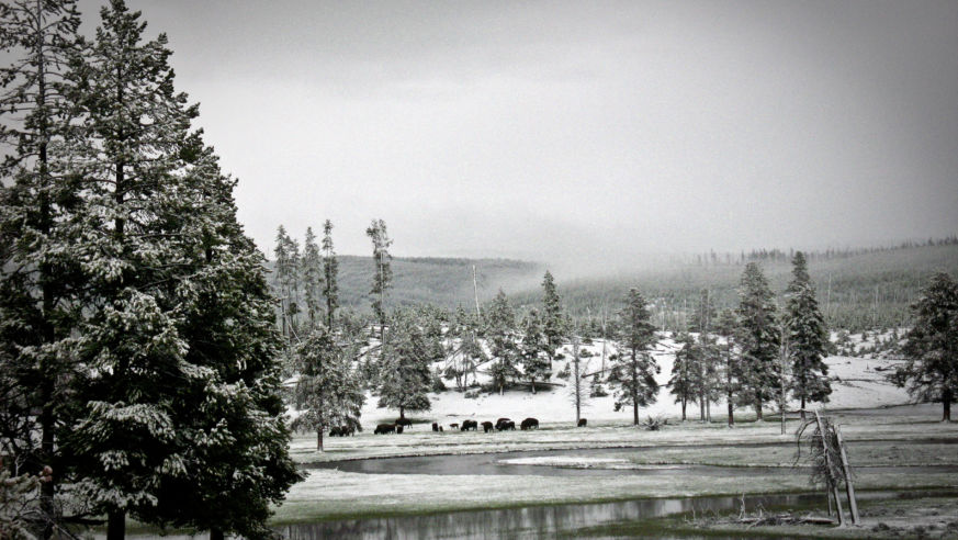 WinterLakesRSS_Yellowstone