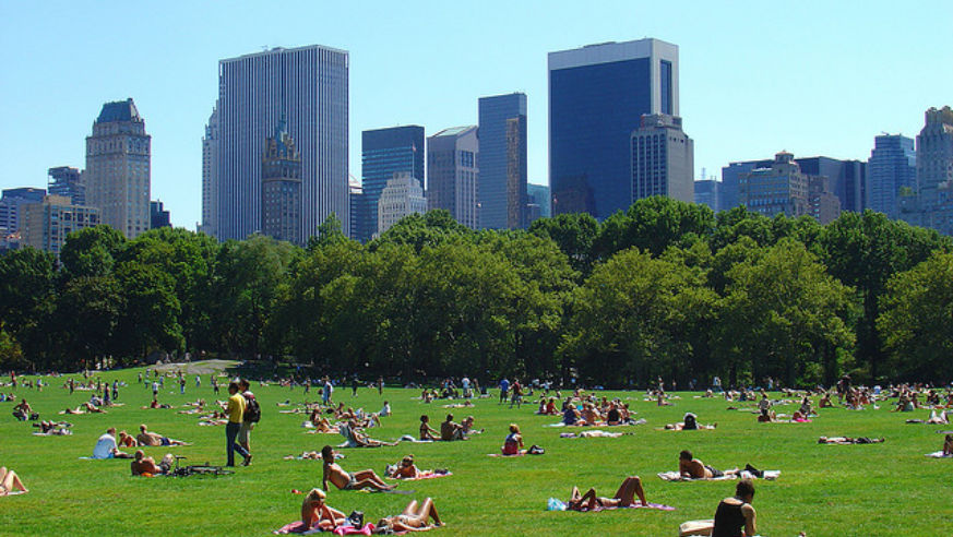 wishfulwednesday-centralpark