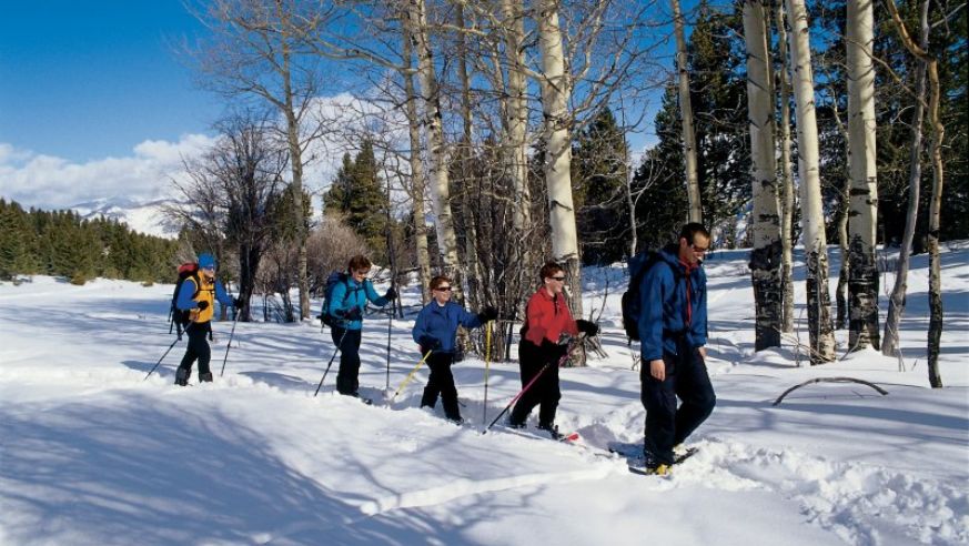 Yellowstone National Park Cross-Country Skiing