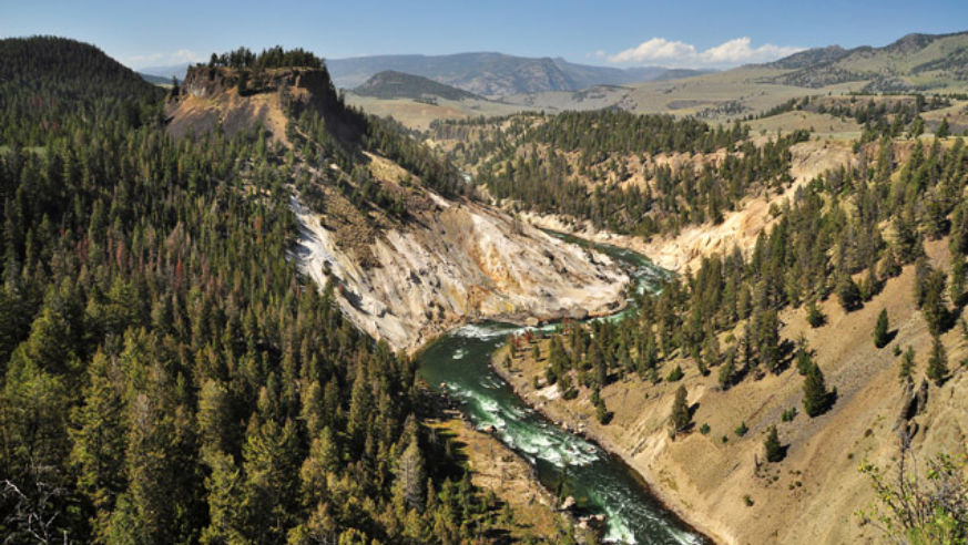 river Yellowstone National Park