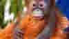 02_babyzoo_vert