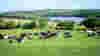 1105_TripCoach_LochinverFarmhouse_horiz
