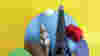 1107_TripCoach_Illo