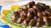 1110_Bugs_Cicada