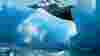 1203_DTAlaska_Icebergs