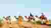 1203_DTIndia_CamelTrekTharDesert