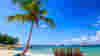 Palm Tree chairs beach
