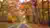 blog_btfallcolors_original.jpg