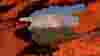Getty Rf 506808574 1