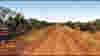 050121_aussie1_wide_12p.jpg - 228