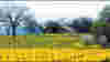 050324_sonoma_wide
