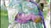 0604_where_bardstown