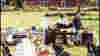 0606_splurge_farm