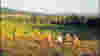 0705_gg_winecountry