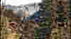 0705_m_rtcolorado