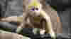 0705_m_zoobabiesbronx