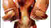 0706_httn_loyalty