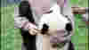 0707_pandas
