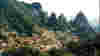 0709_scouting_italy
