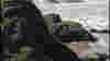 0709_rtyachats