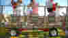 070823_stomp