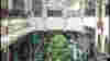 0804_gg_alamona01