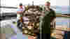 0803_tripcoachupdate