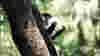 0810_truestories