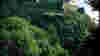 0812_scotlandbard