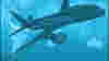090622_internationalairfares