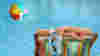 Summer Vacation Guide 1444371