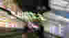 blog_081107_blog_ohare_original.jpg