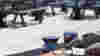 blog_090619_blog_mamas_original.jpg