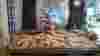blog_091204_parisbread_popup_original.jpg