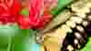 blog_100107_readerswildlife_pano_original.jpg