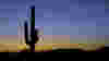 blog_10020509_arizona_original.jpg