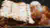blog_100210_romefood_pano_original.jpg