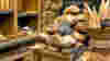blog_100419_baguettes_pano_original.jpg