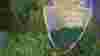 blog_100602_tenderloinforest_popup_original.jpg