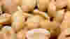blog_100615_peanuts_pano_original.jpg