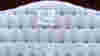 blog_100827_bedbugs_pano_original.jpg