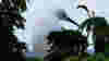 blog_101105_bird_pano_original.jpg