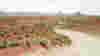blog_101202_drylanscape_pano_original.jpg