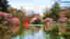 blog_110303_cherryblossom_pano_original.jpg